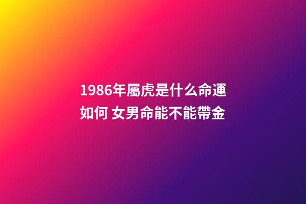 1986年屬虎是什么命運如何 女男命能不能帶金